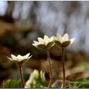 표충사주차장 이미지