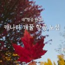 531 | 인천 벤쿠버 티웨이 항공 탑승 후기 TW531 TW532 장단점 비교