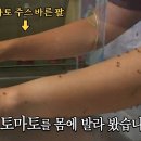 토마토 주스로 모기를 퇴치할 수 있다고요?!! | KBS 스펀지 050723 방송 이미지