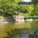 선바위자연캠핑장 | 강원도 횡성 병지방 <선바위자연캠핑장> 완벽했던 여름휴가 ~♬