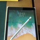 개인화물2678 | iPad 6세대 직구 후기