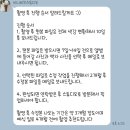 대구 웨딩촬영 비니비치스튜디오 후기(ft. 꼼나나브라이드, 애견동반 웨딩촬영)