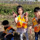 신월초교병설유치원 이미지