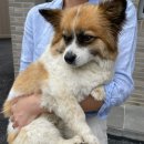 뭉치키즈풀빌라 | 가평 남이섬 펜션 추천 l 독채 수영장 풀빌라, 북한강이 보이는 '월하담'