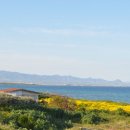 바나바교역 이미지