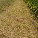 다솜농장 이미지