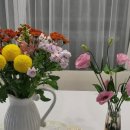 택배농장 이미지