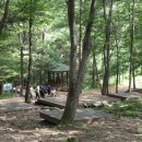 장동산림욕장 이미지