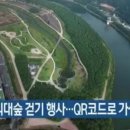 법인백리