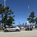 변산해수욕장 | 강아지동반여행 변산해수욕장 방문후기 🌊