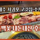 서귀포서비스 | 제주 서귀포 서비스가 최고인 돈백꽃 후기