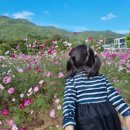 덕동 체육공원 이미지