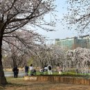 명당폭포가든 이미지