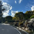 천보산자연휴양림 | 포천 천보산 자연휴양림 숲속의집 B102 8인실 내돈내산 후기