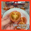 단토랑 | [후기] 집에서 먹어본 스테비아왕방울토마토, 왕단토 체험단 이야기