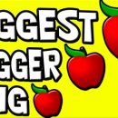 영어 그림책 놀이 이미지