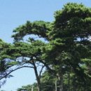 해비치모텔 이미지