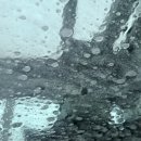 자유제일주유소 이미지