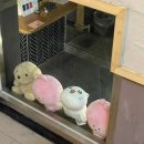 아이스크림스토리의정부역점 | [의정부 맛집] 오천구백원의 가성비 끝판왕 술집 "오술차"