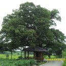 신평리 경로당 이미지