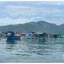 오션투어 이미지