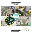 용문천년시장협동조합 이미지