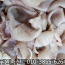 해진축산 이미지