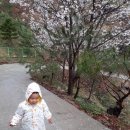 정원펜션민박 이미지