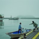 목화자원 이미지