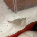 인터넷짱 이미지