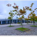 배곧생명공원 이미지