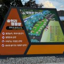 방산면 송현리 캠핑장 | 양구 송현리 캠핑장｜계곡과 숲이 어우러진 곳(카라반 후기)