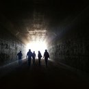 미골농장 이미지