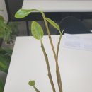 오동현영어학원