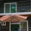 숲속의 하얀별 이미지