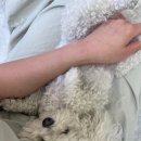 도기로움 이미지