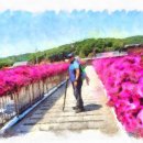 이목쉼터화장실 이미지