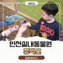 서창남순환로216번길1R | 인천 실내 아이와함께 쥬벅스 송도 실내동물원 요즘 핫플 특별한 체험 후기