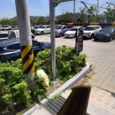 다정생아구찜 이미지