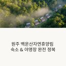 백운산자연휴양림 | 원주 백운산자연휴양림 숙소 &amp; 야영장 완전 정복