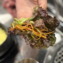 뉴경대요양병원 | 대구 경대병원 중구청 동인동 소갈비, 돼지갈비 맛집 동덕숯불