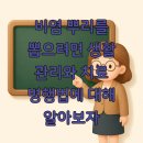 승리세탁 | 비염 뿌리를 뽑으려면 생활 관리와 치료 병행법에 대해 알아보자