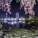 영산 연지못 이미지