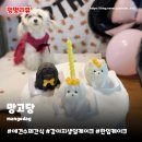 망고당 | 강아지수제간식 망고당 | 시루 생일파티 한입케이크 솔직 후기