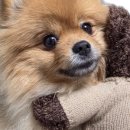 관악노인복지관 이미지