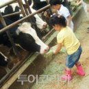 유유목장 이미지