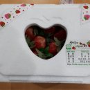 바람개비 딸기학교 이미지