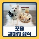 매드메이드 | 포옹 강아지 생식 솔직후기, 식이관리부터 쇼핑까지 한번에