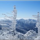 버스정류장 07-273 이미지