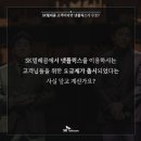 동글이텔레콤 이미지